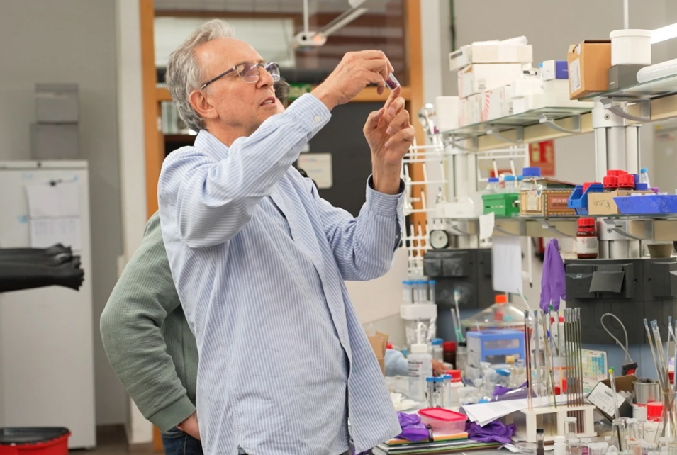 The Universitat de València investigates how to create the “brain” of futur...